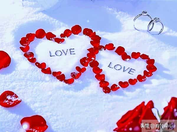 心中有爱，情真意切，一次遇见，铭记一生