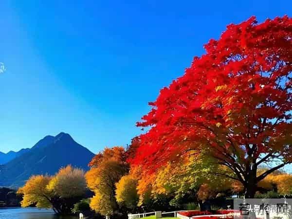 女人主动带你去这些地方，明摆着动情了，男人拿不下说明情商太低