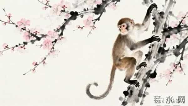 2026年前,属猴的朋友请留心:这三个人,离得越远,日子越顺