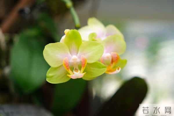 考上大学我妈给我侄子10000元，给我儿子2000，还让我不要不平衡