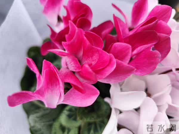 【失望从不是哭闹,沉默了才最狠-心凉透了,多说一句都多余】