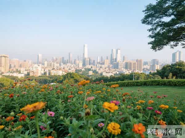 ″姐,再不给我十万块,你弟媳要与我离婚了″,姐夫:关我家啥事