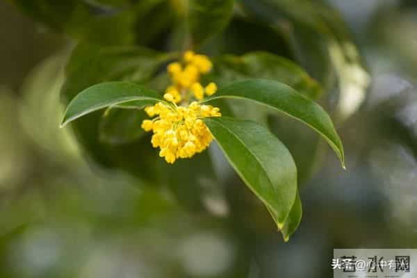 我照顾丁克小姨6年，意外看到遗嘱，果断离开不再联系