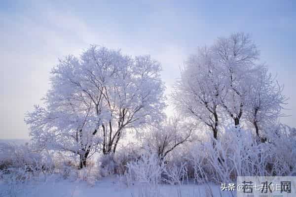 被疯狂转发的22个宝藏句子，每句都能让心灵放个假