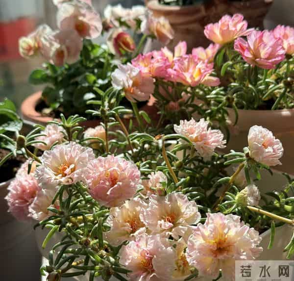 人生最稳的靠山：不是父母，不是伴侣，而是独立的自己