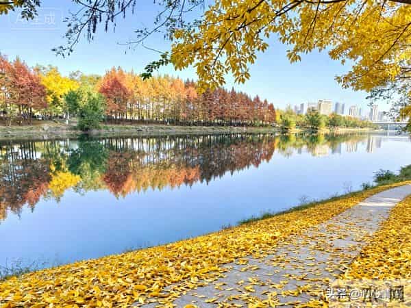 女人最强烈的7个欲望！男人越在意，她就越动情！