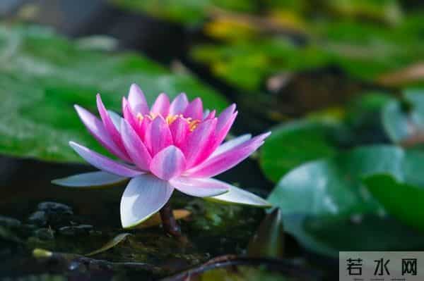 这样联系你的人，八成是想你了