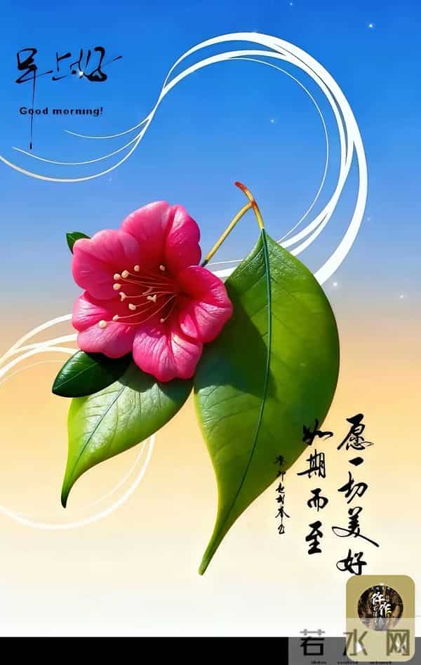 18张最新版动态表情图片大全，早安心语过好今天，迎接全新的明天