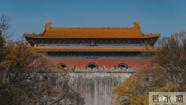 幸存者宣言——致所有在血脉中听见雷声的人