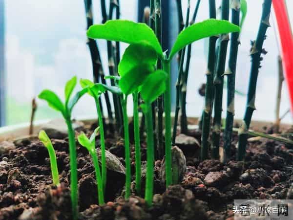 我刚想给儿子全款买房,儿子的女友竟说:阿姨,你有点边界感行吗