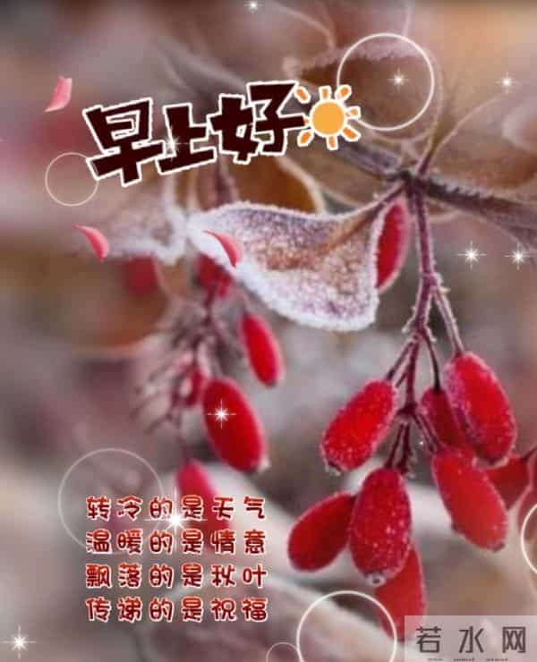 早安里的冬日暖意