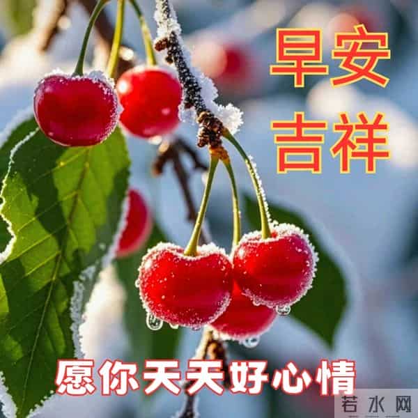 2025.12.11早安问候漂亮图片祝福美图