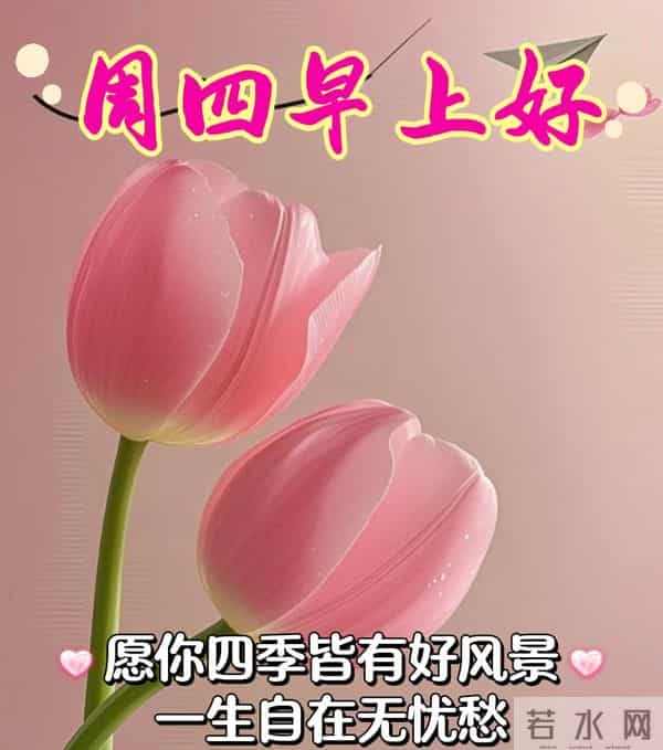 星期四非常漂亮的早上好问候语、图片 周四早安问候祝福语温馨句子