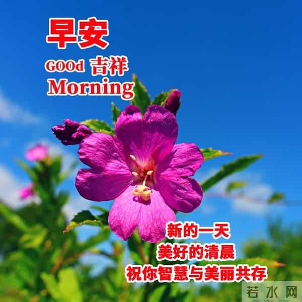 28句晨安暖心文案，时光安然，喜乐相随，愿你岁岁安然事事顺意