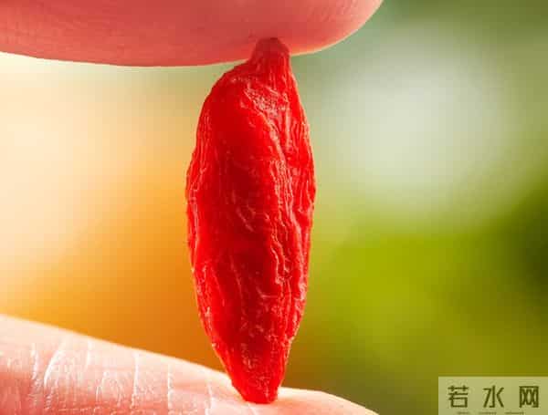 枸杞为何不能随便乱吃?医生:这3类人最易中招,千万别大意