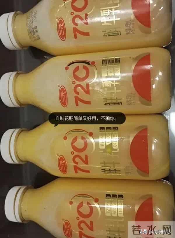 教你做“鸡蛋肥”，1颗鸡蛋发酵成肥料，养君子兰很好用！