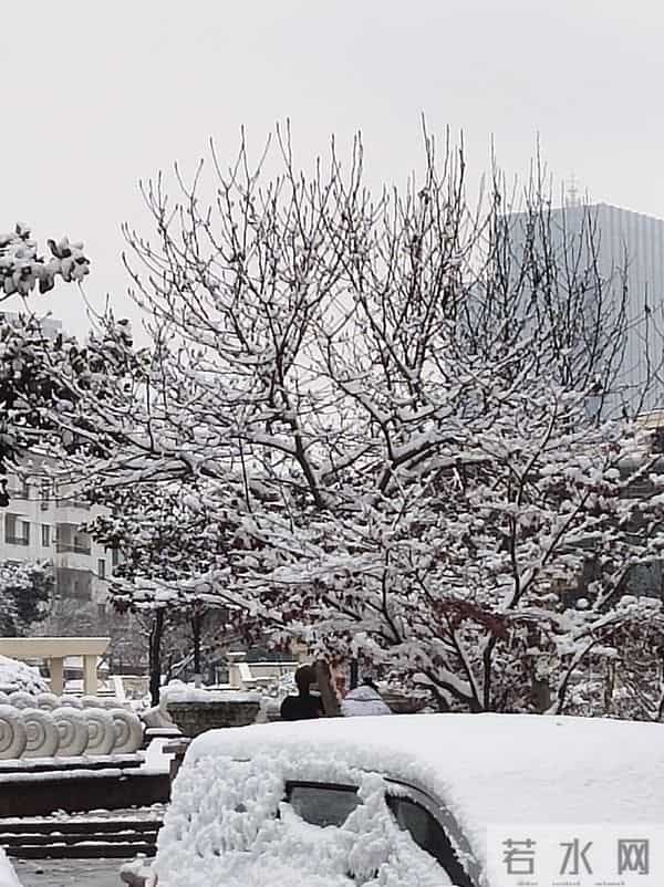 一觉醒来，青岛不青了，成白色的了