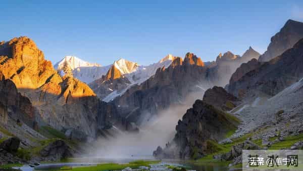 一夜之间，躺平的人成了蕞大的赢家