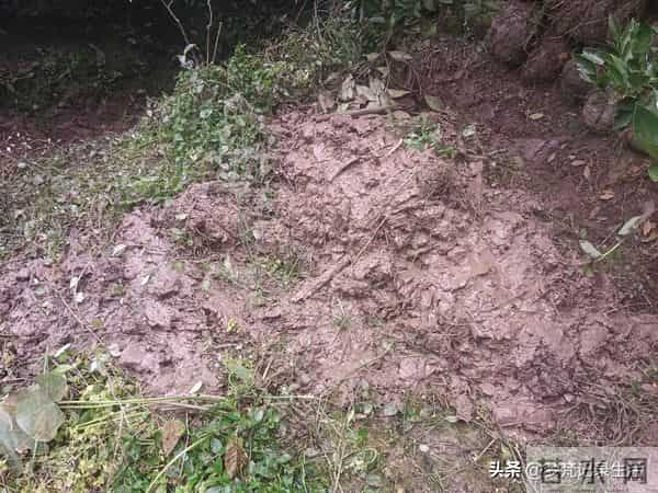 每个人都有自己的底线我不知道将来自己的亲人会不会试探我的底线