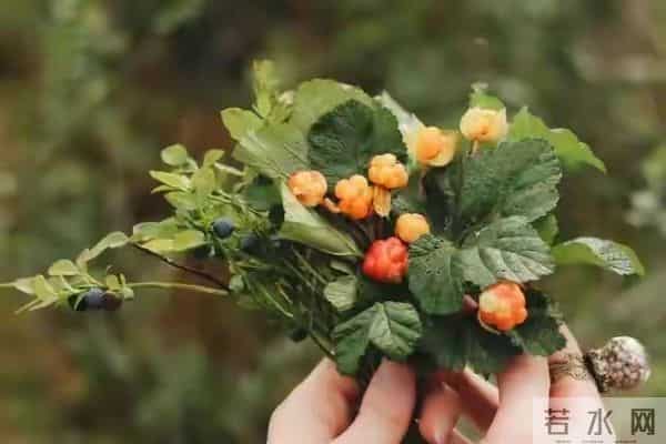 金元宝不能乱烧，土地公告诫：给逝去亲人烧纸。这三句话一定要说