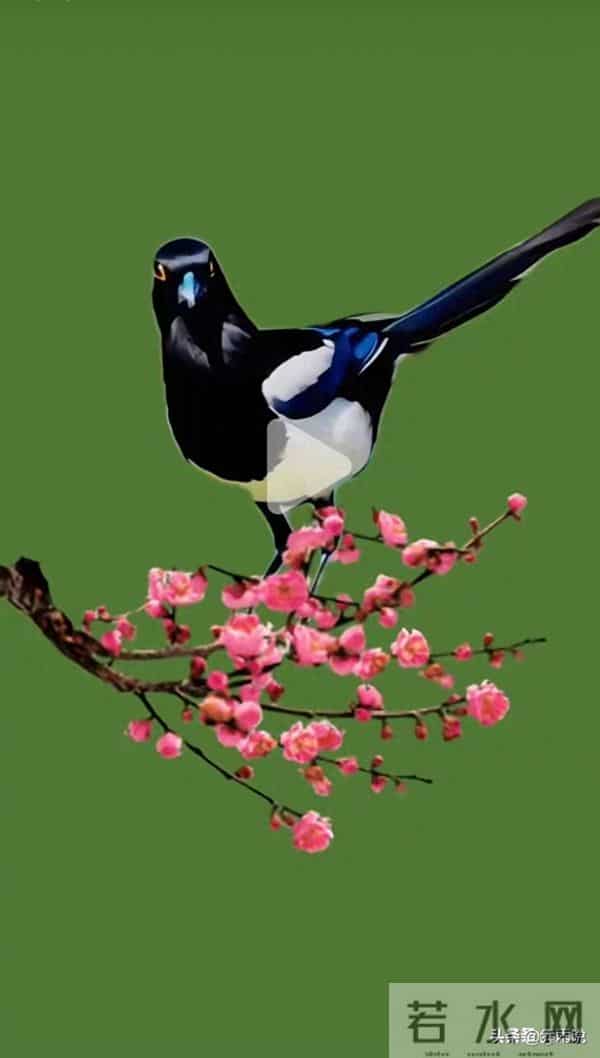 “家喜不可外扬”：喜鹊临门！你家孩子这两天就迎转机，厚积薄发