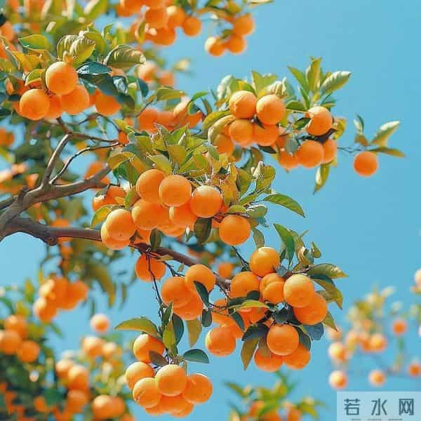 能走运发财的头像