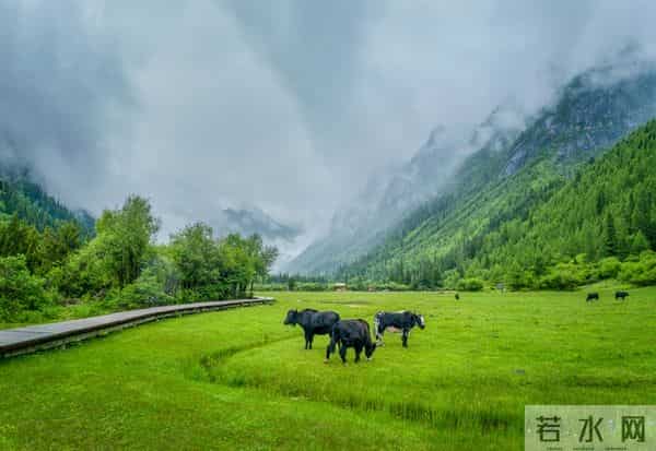 家里突然出现这“三种征兆”,预示好事将近,子女都会沾光!