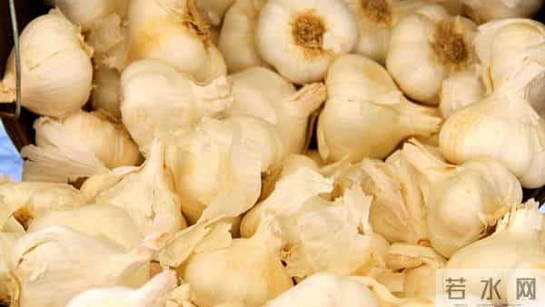 甲流高发期，多吃5种自带“青霉素”的食物，抗菌消炎，增强抵抗