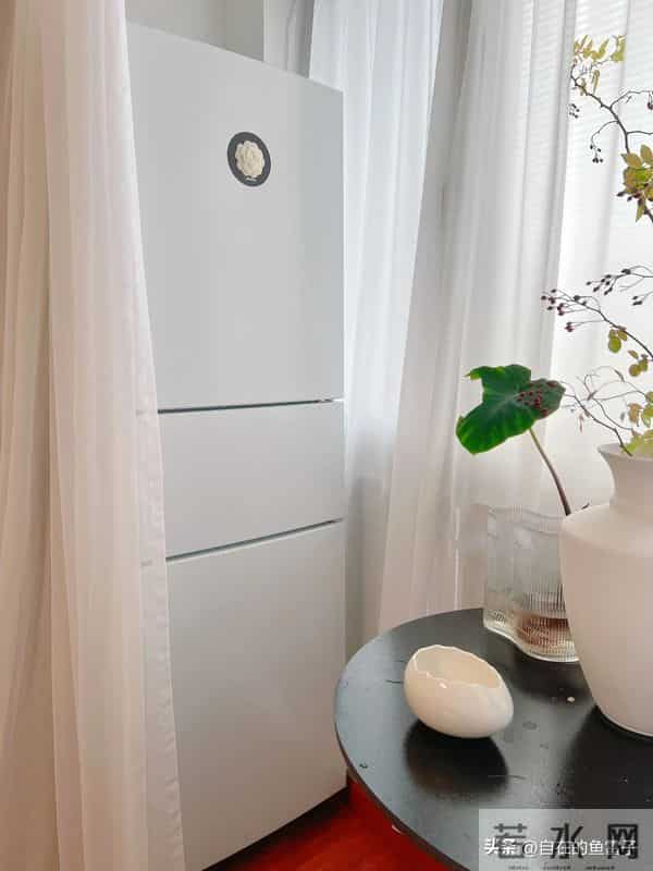 闲置旧家电别只当废品卖！网友的脑洞改造，让你直呼亏大了