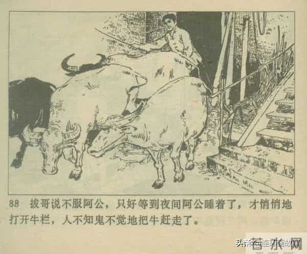 三打胶东见真章,韦拔群智勇破敌,农军精神代代扬!