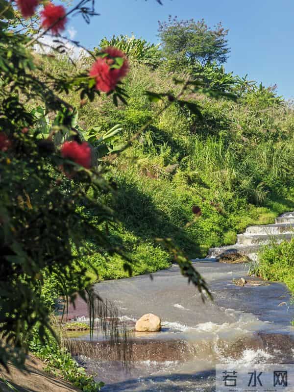 花开烂漫尽情艳