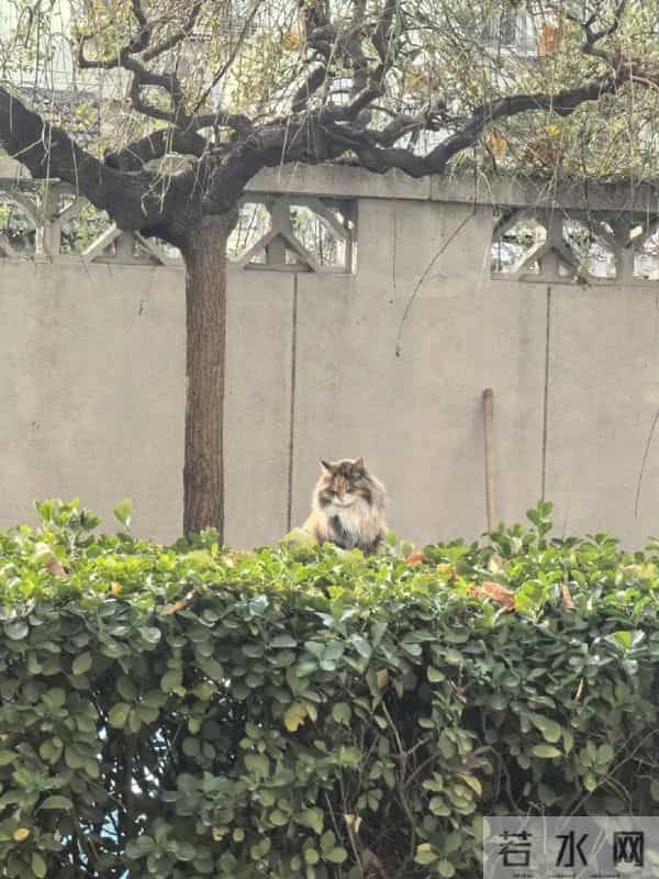 又到了重温陈奕迅经典语录的时候 - 冷段子3430 & 去年今日3080