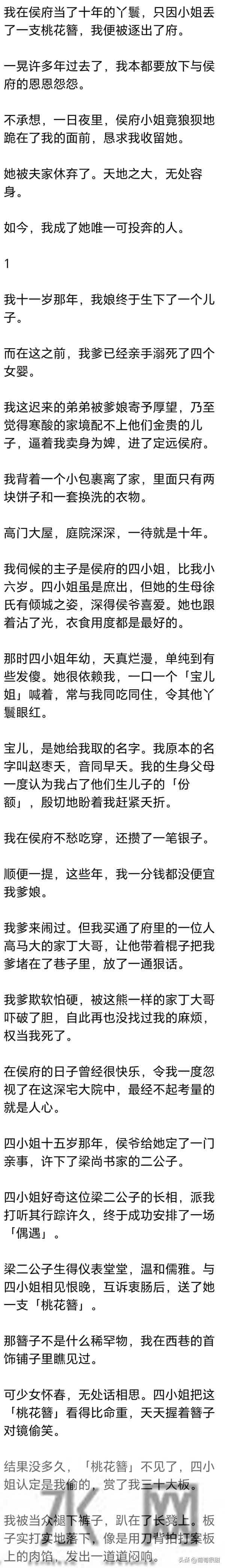 (完) 我在侯府当了十年丫鬟，小姐丢了一支桃花簪，我便被逐出了府