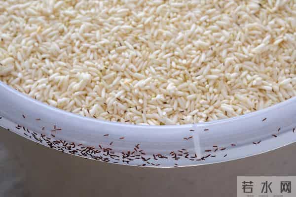 原来米虫最怕它！往米袋里放一放，家里米虫全跑光，真的太棒了！