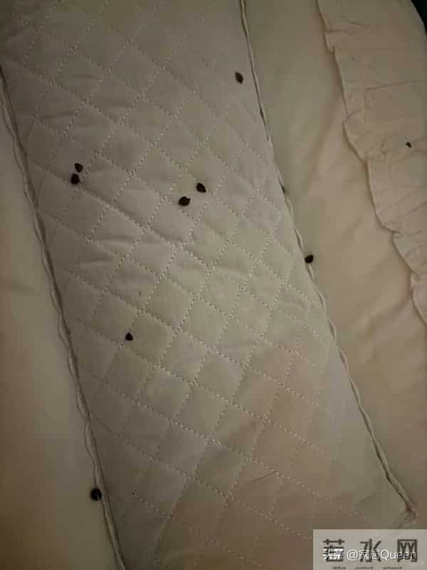 5种旧东西早就该扔掉，日子过久才知道，占地方还伤身体