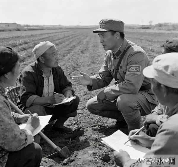 野鸳鸯（48）白鸢身体不适