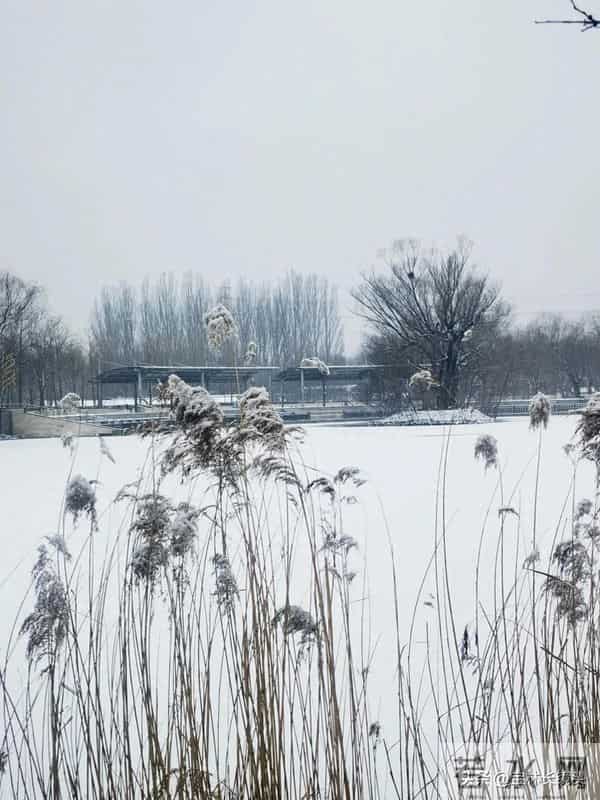 散文∥帝都初雪记