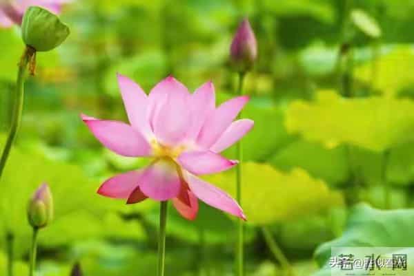 终于轮到你了！命运欠你的公道，将在本月以现金的方式加倍奉还。