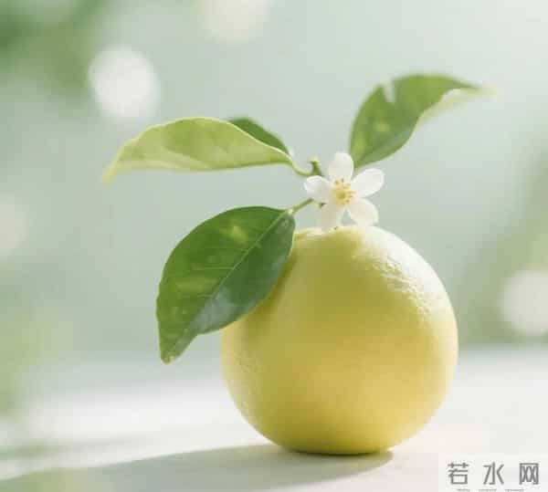 值得长久不换的微信头像