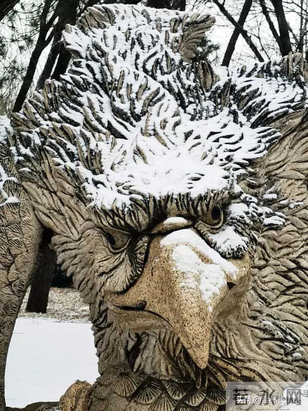 散文∥帝都初雪记