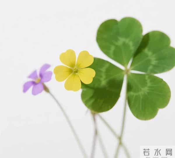 值得长久不换的微信头像