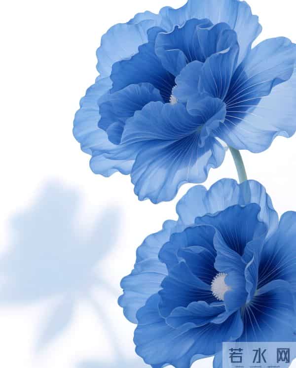 蓝色系花朵 壁纸