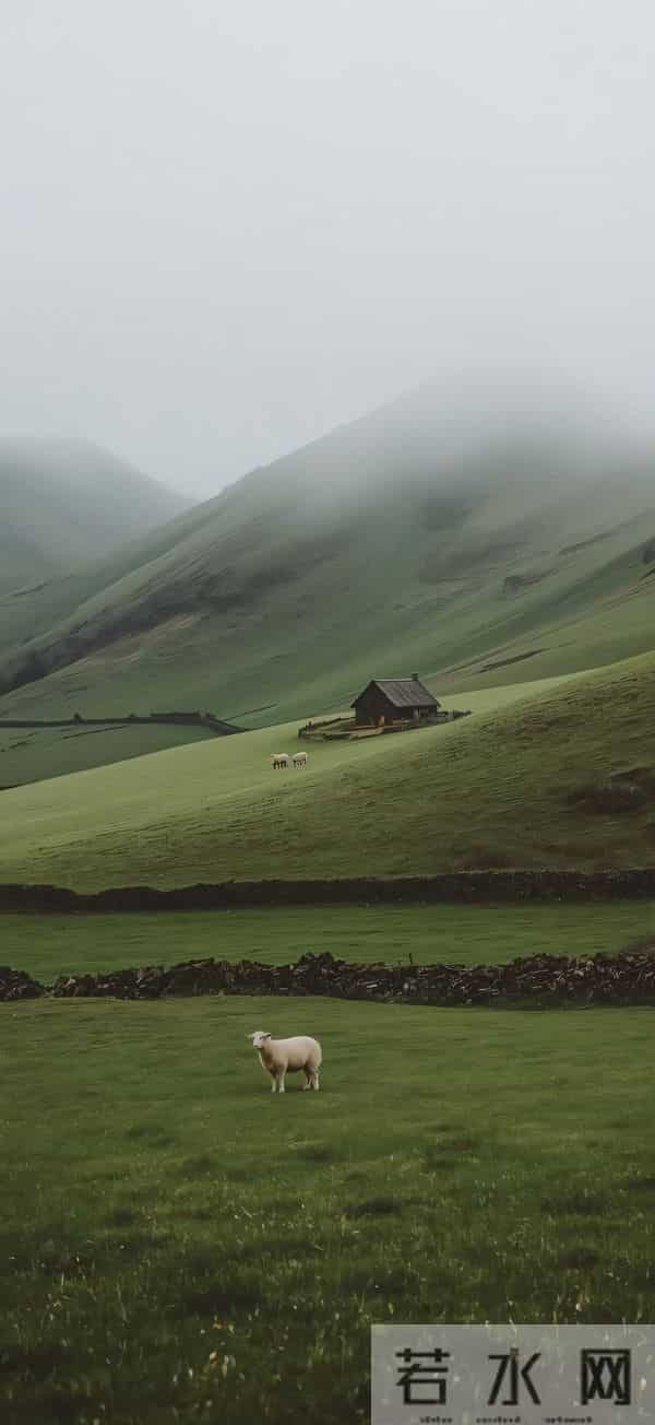 手机壁纸2025(1675)