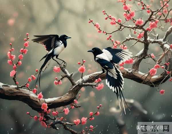 喜鹊临门，好运连连！你的善报来了，收下福泽全家