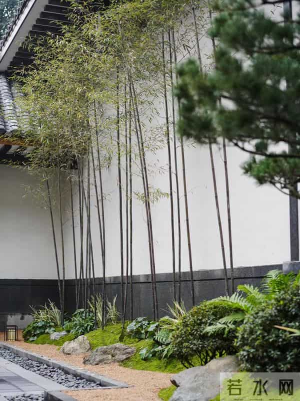 种树一定要种对位置！种错位置，后悔一辈子！