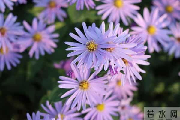 藏了8年的生活小偏方，低成本而且还好用，家家都能用