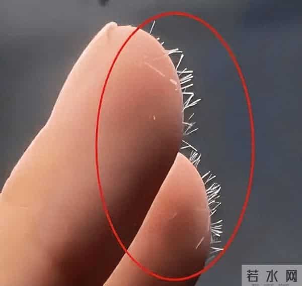 注意了，这几种常用的东西都是“玻璃纤维制品”，用时千万要小心