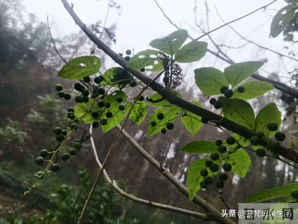 每个人都有自己的底线我不知道将来自己的亲人会不会试探我的底线