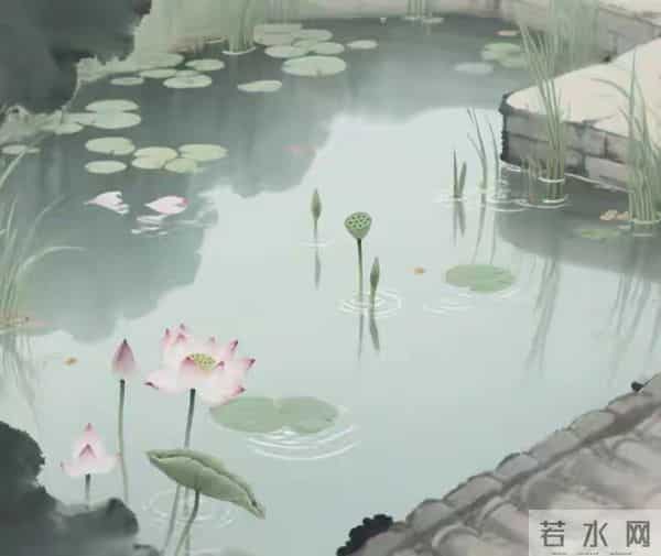 养花30年，我淘汰了大半的花草，只留这7种，越养越上瘾！