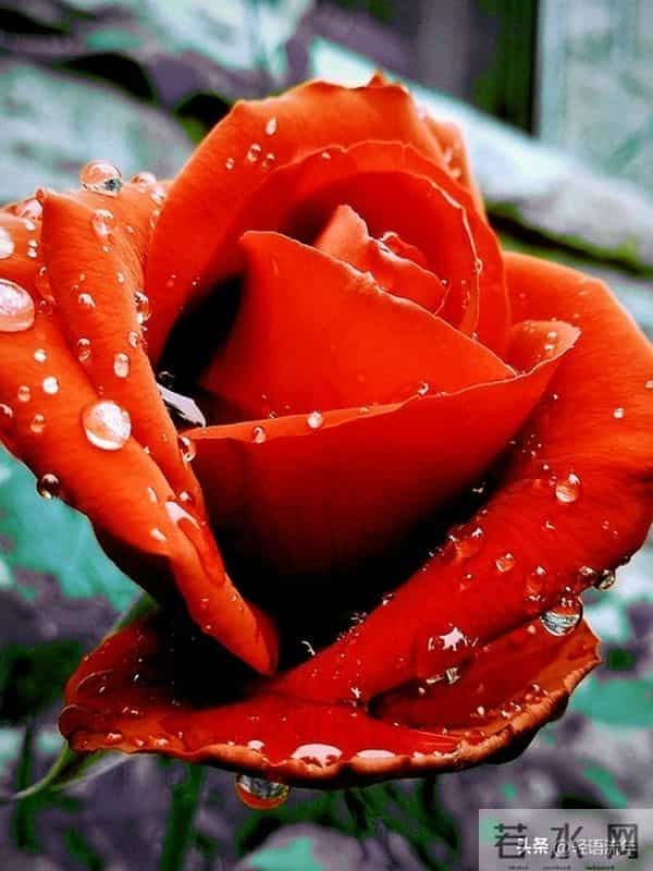 家里有这5样东西，恭喜你，福气就要来了！(看到就有福)